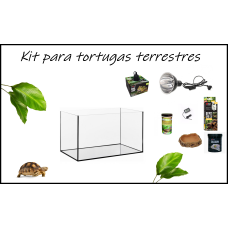 Kit completo de Tortugas Terrestres